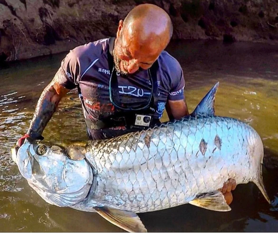Pescatore con un tarpon in acqua bassa
